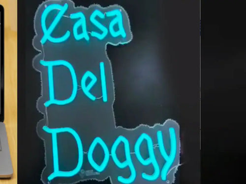 Custom Neon Sign for Dylan Rice